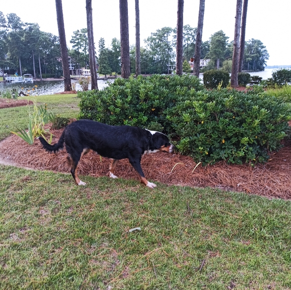 Meet your Posher - Picture 8 of 8